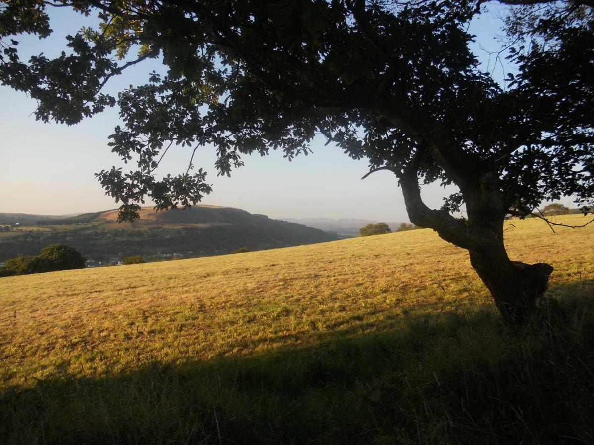 1 Tan Yr Eglwys Barn Cottage Pontardawe エクステリア 写真